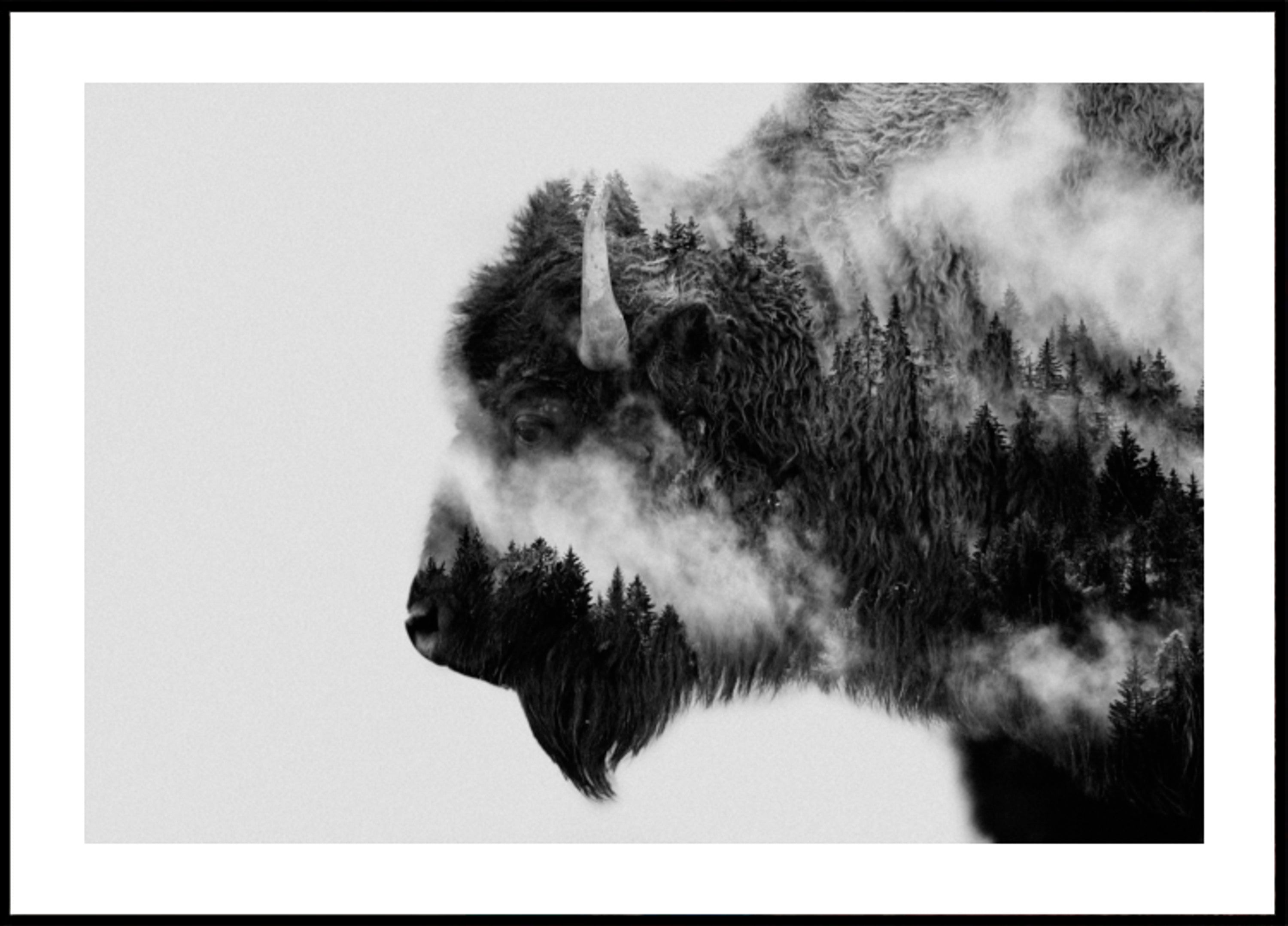 Esprit du bison des forêts