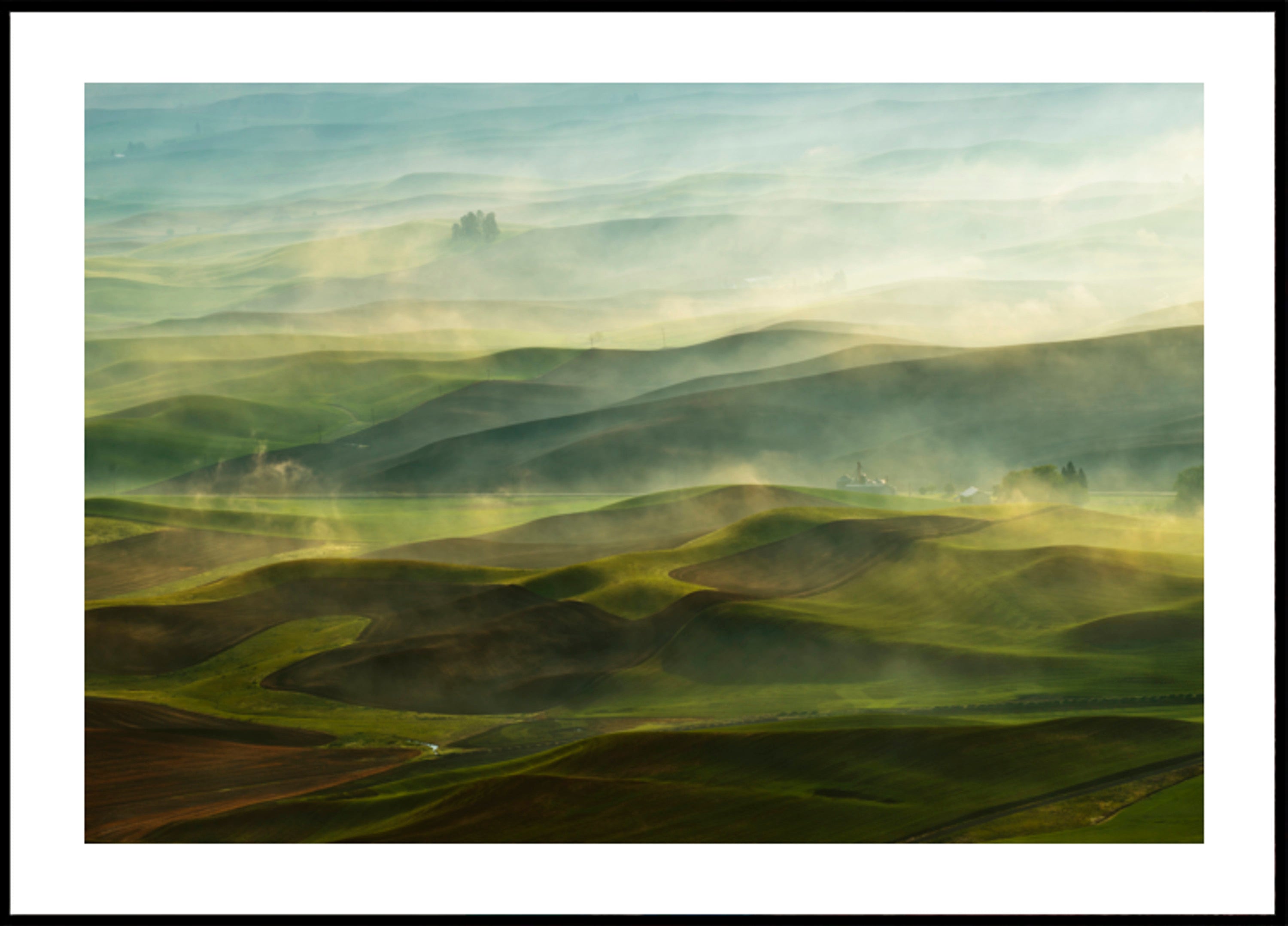 Collines du matin doré