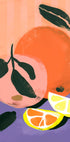 Citrus Harmony - Posterbox